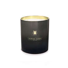 Load image into Gallery viewer, The Beetle Luxury Candle
